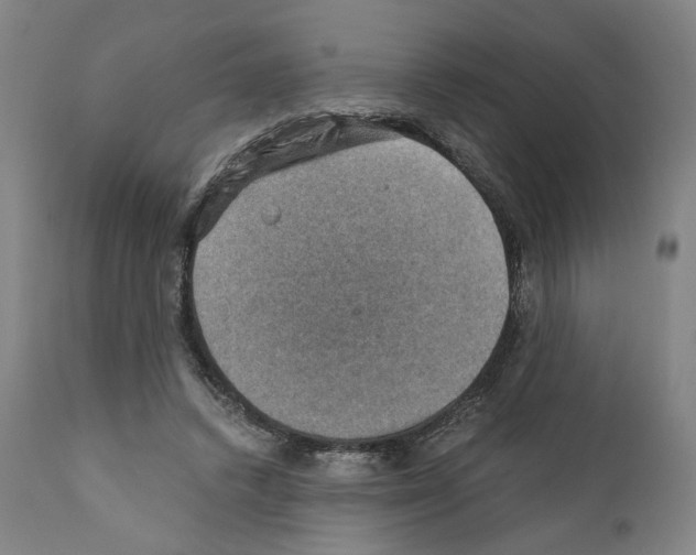 X0000110890448200907301546