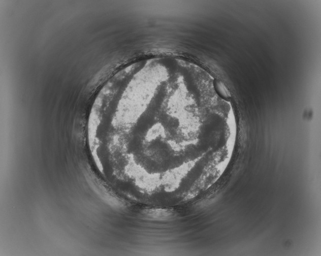 X0000110890449200907301546