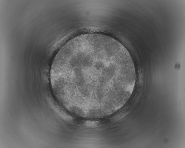 X0000110890450200907301546