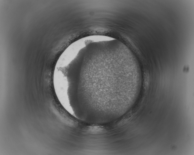X0000110890451200907301546