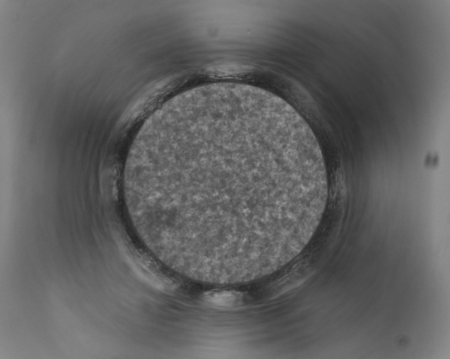 X0000110890452200907301546