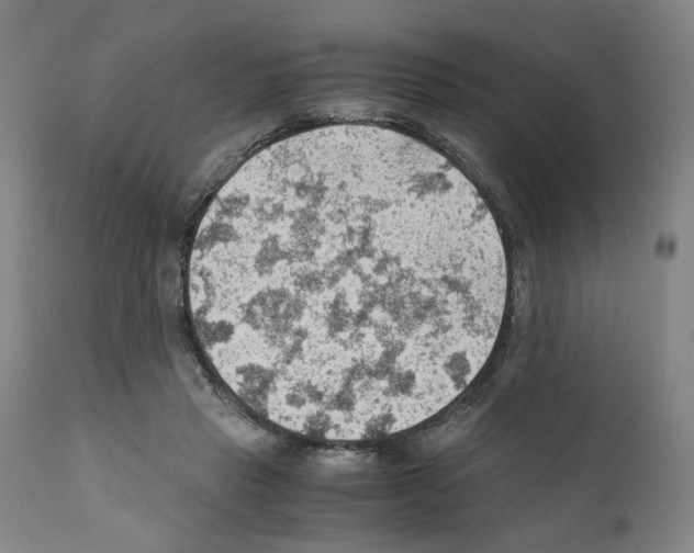 X0000110890453200907301546