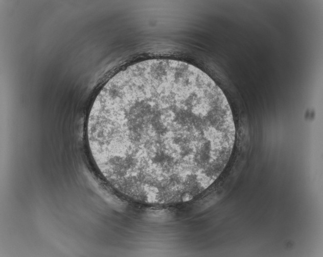 X0000110890454200907301546
