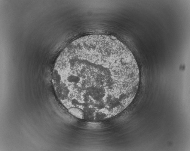 X0000110890457200907301546