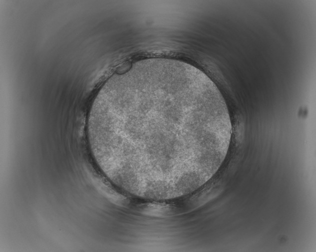 X0000110890458200907301546