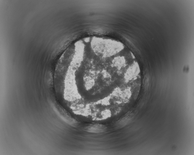 X0000110890459200907301546