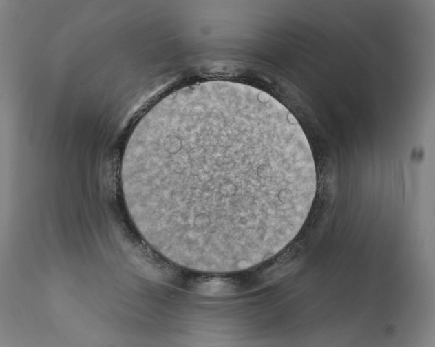 X0000110890460200907301546