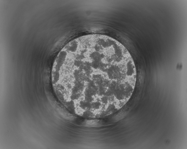 X0000110890461200907301546