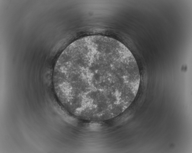 X0000110890462200907301546
