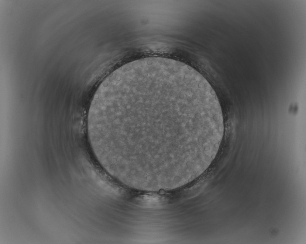 X0000110890464200907301546