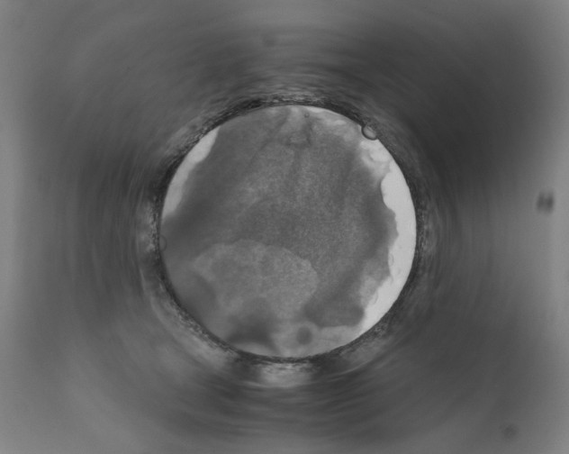 X0000110890465200907301546
