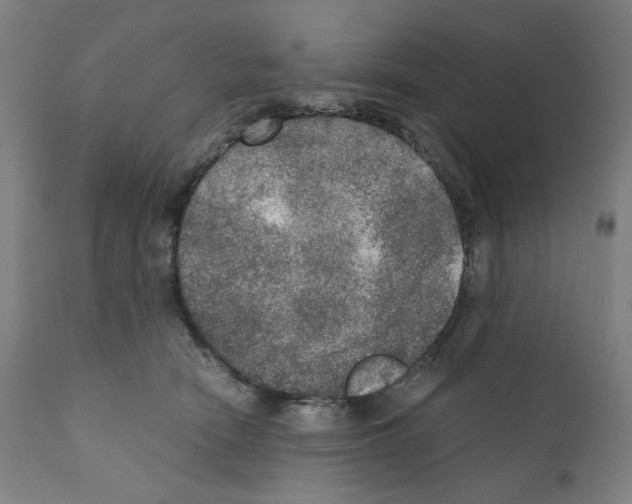 X0000110890466200907301546