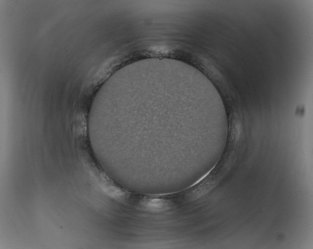 X0000110890467200907301546