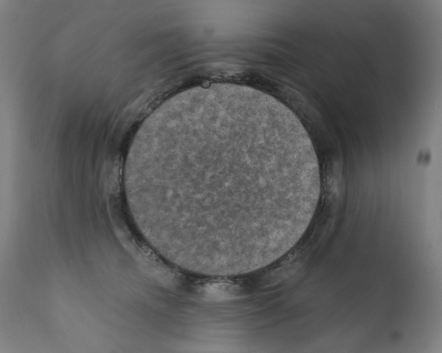 X0000110890468200907301546