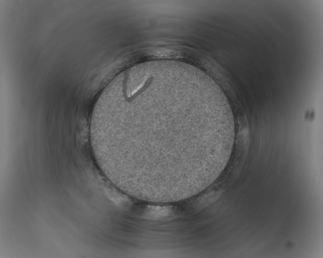 X0000110890469200907301546