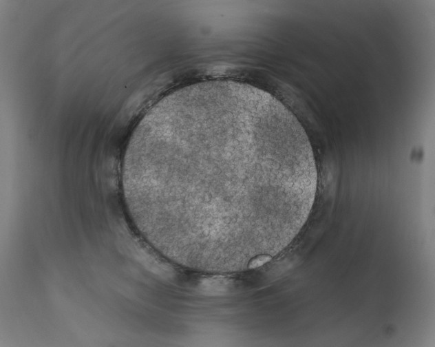 X0000110890470200907301546