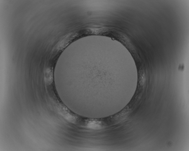 X0000110890471200907301546
