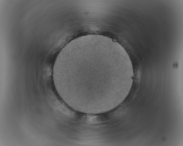 X0000110890472200907301547
