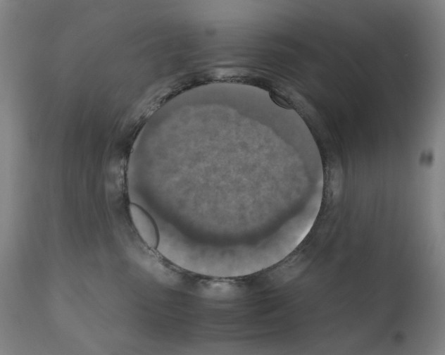 X0000110890475200907301547