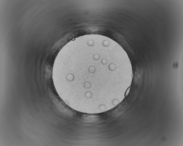 X0000110890476200907301547