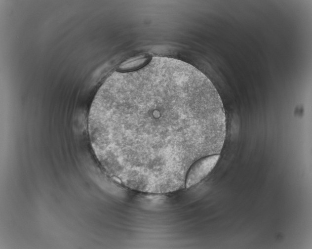 X0000110890478200907301547