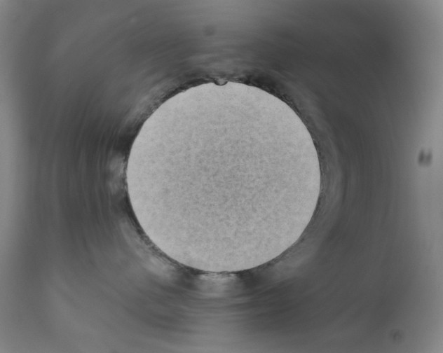 X0000110890480200907301547