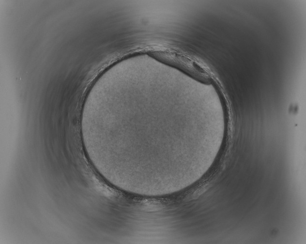 X0000110890481200907301546