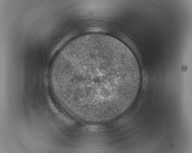 X0000110890482200907301546