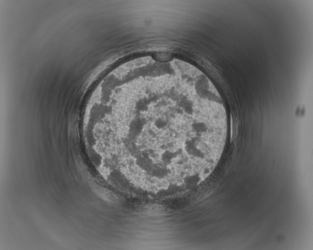 X0000110890483200907301546