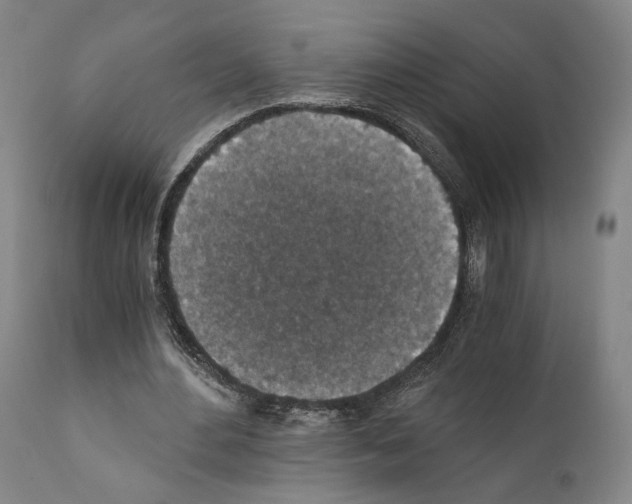 X0000110890484200907301546