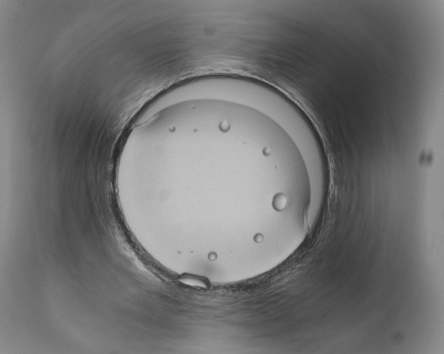 X0000110890485200907301546