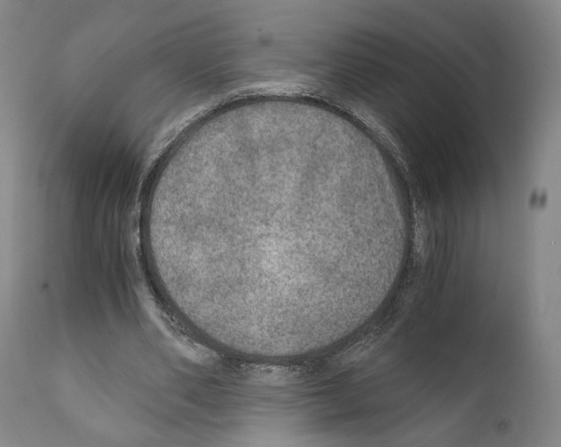 X0000110890486200907301546