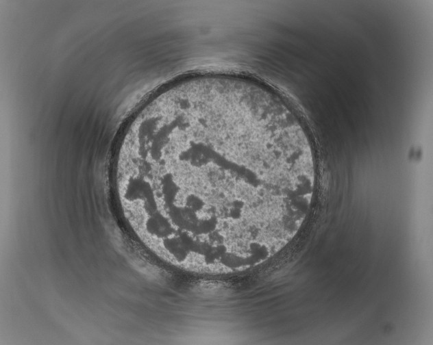 X0000110890487200907301546