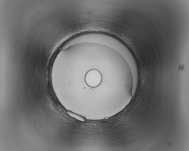 X0000110890488200907301546