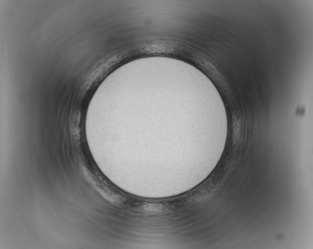 X0000110890490200907301546