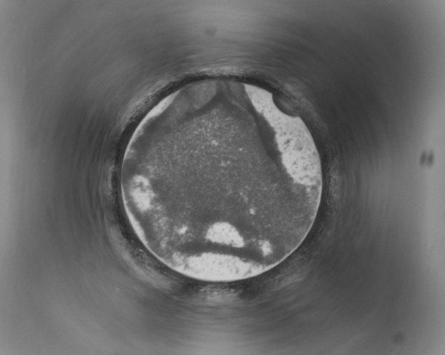X0000110890491200907301546