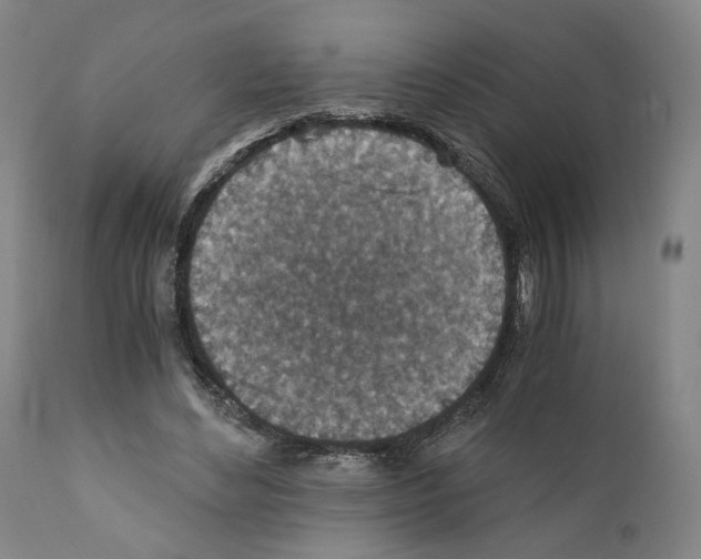 X0000110890492200907301546