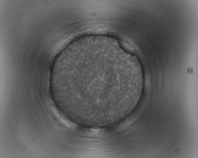 X0000110890493200907301546
