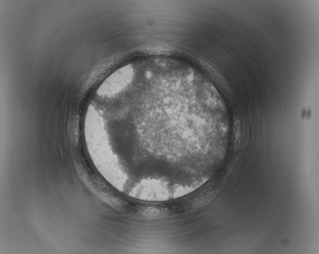 X0000110890494200907301546