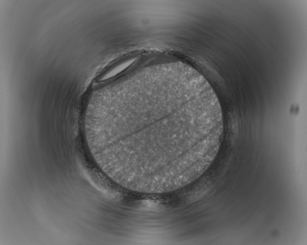X0000110890496200907301546