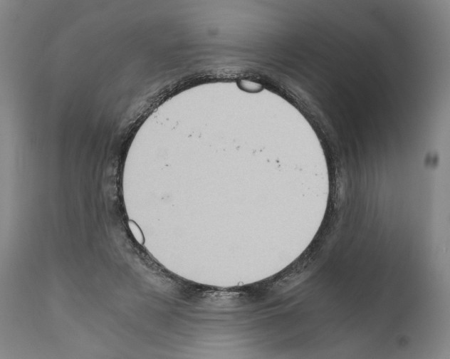 X0000110890497200907301546