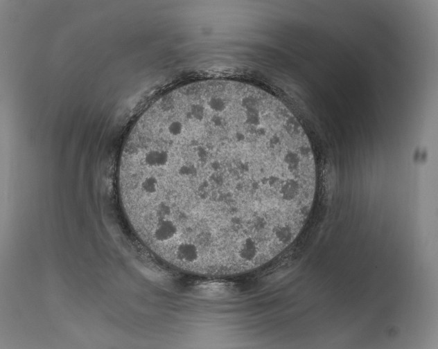 X0000110890499200907301546