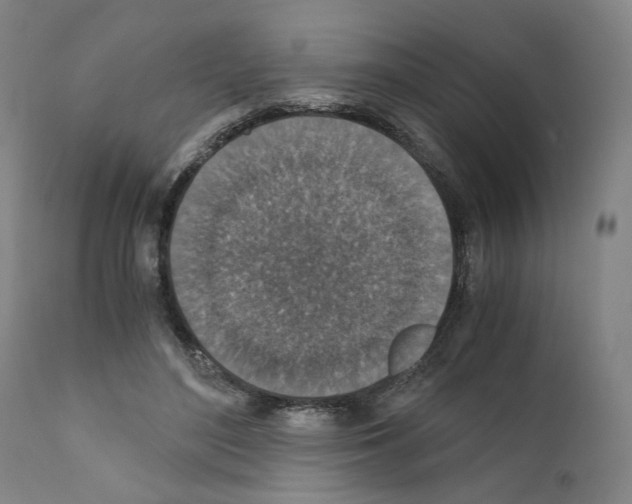 X0000110890500200907301546