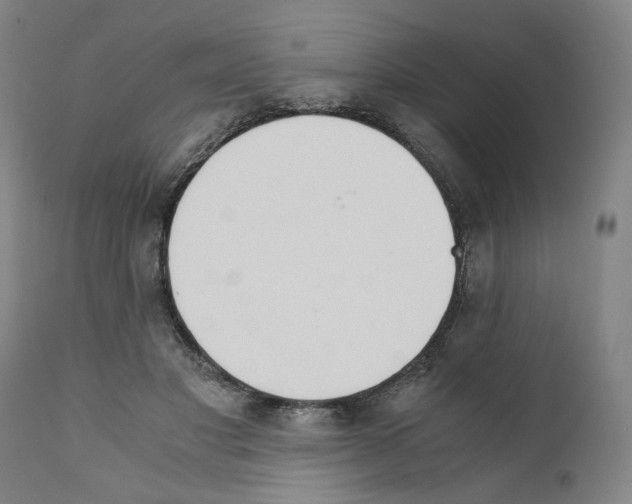 X0000110890501200907301546