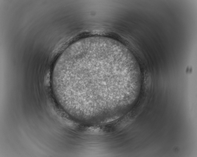 X0000110890502200907301545