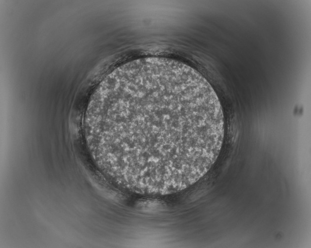 X0000110890503200907301545