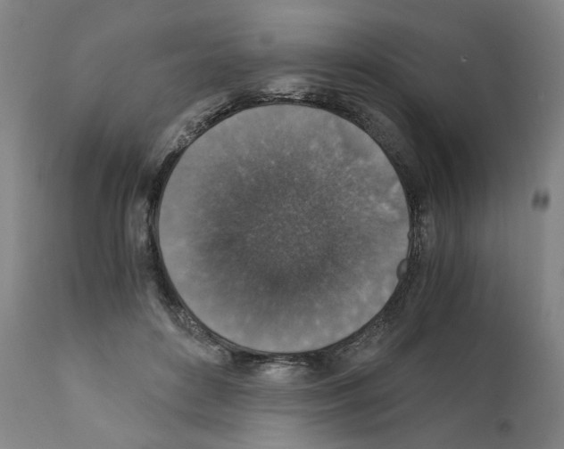 X0000110890504200907301545