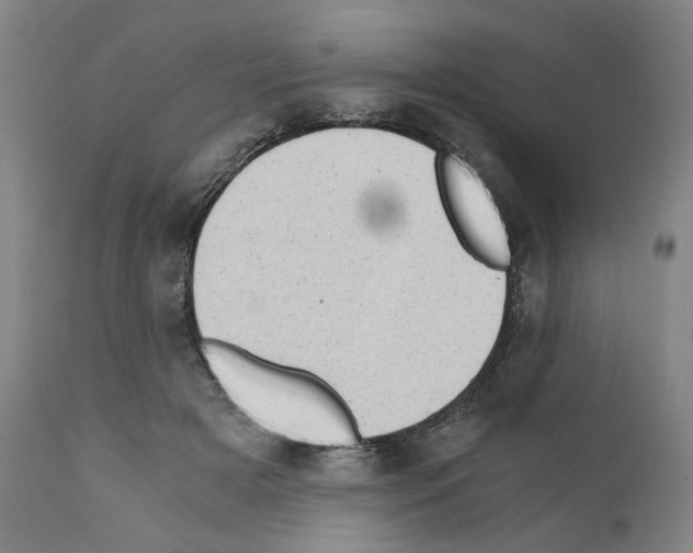 X0000110890505200907301545