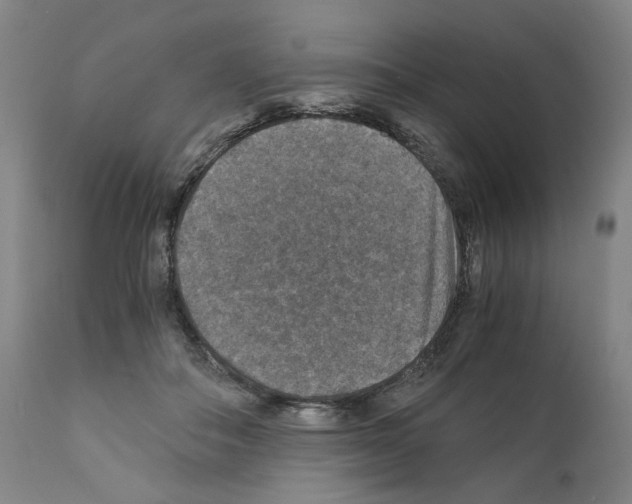 X0000110890506200907301545
