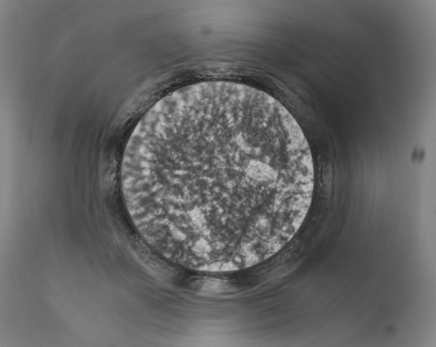 X0000110890507200907301545